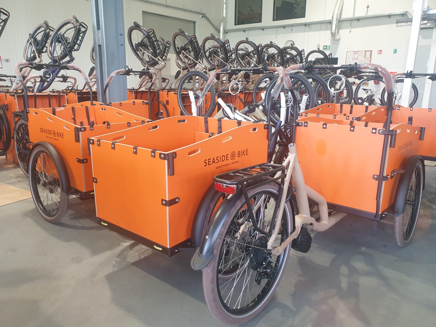 Cargo bike assembly